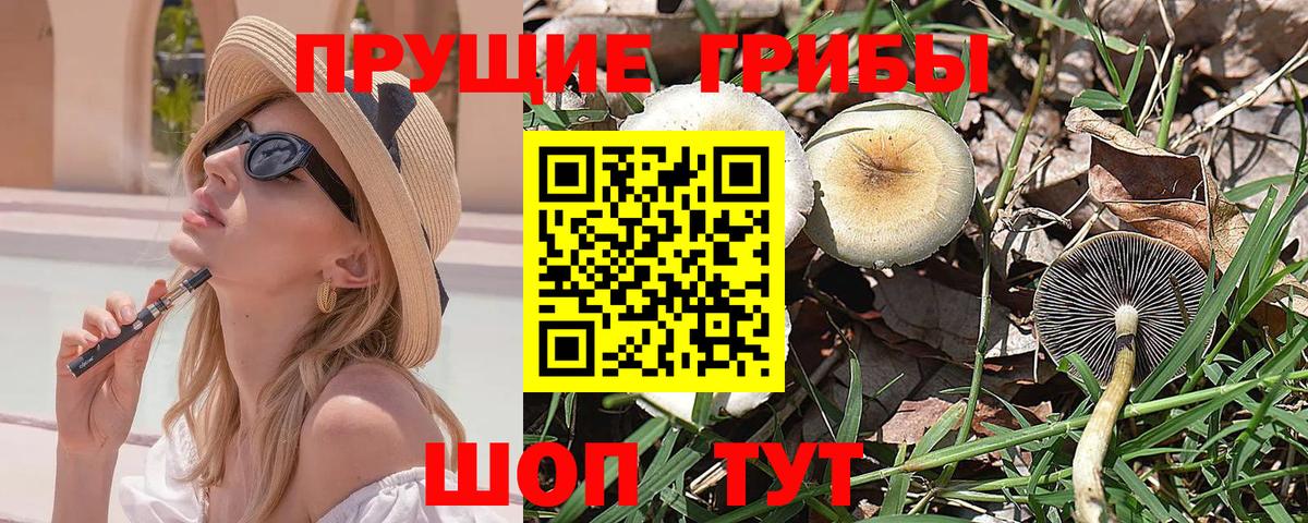 Галлюциногенные грибы Psilocybe  Псилоцибиновые грибы ЛСД  Вход с VPN  Хабаровск 