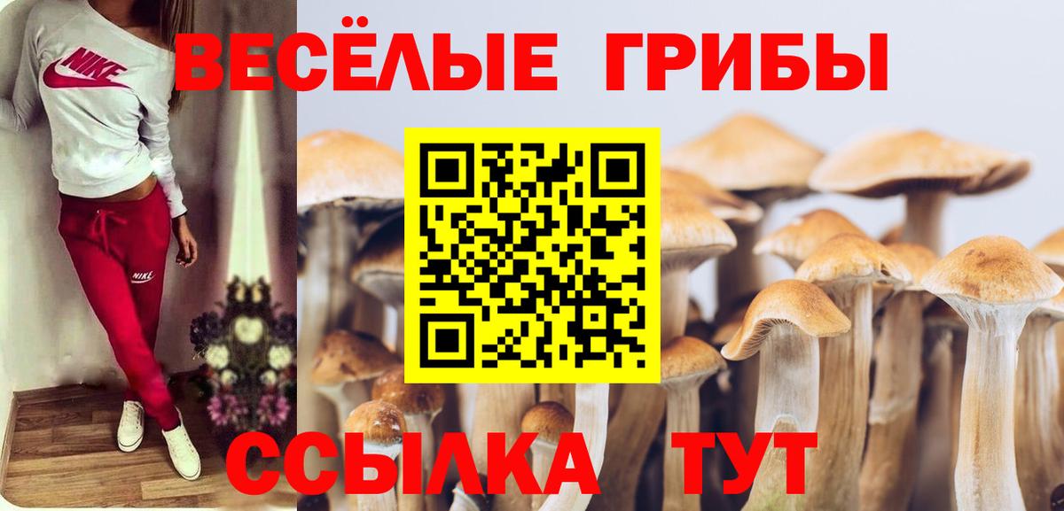 Псилоцибиновые грибы GOLDEN TEACHER Хабаровск